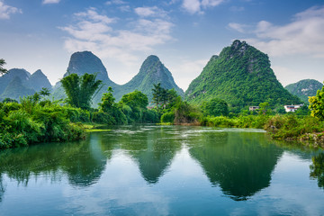 6月有什么常见的树开花 六月雪什么时候开花